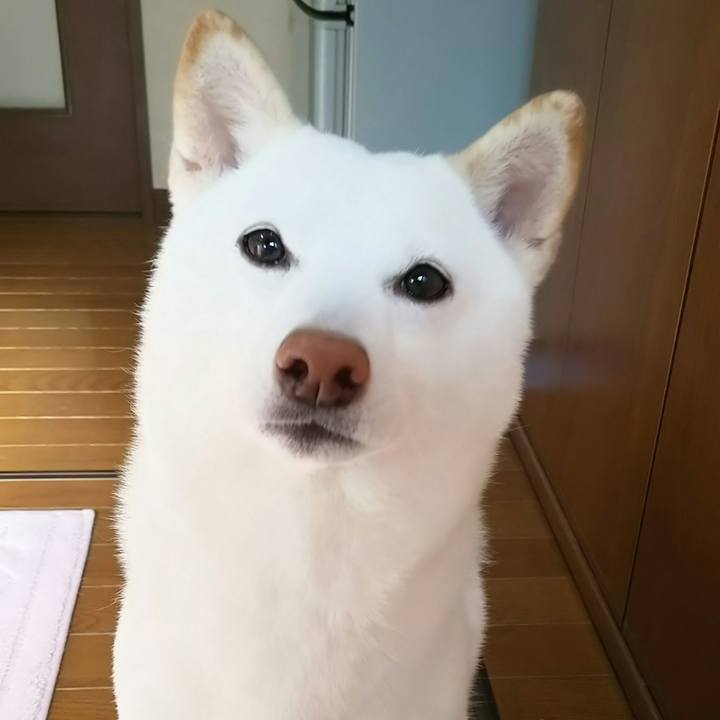 10c7cad9 7b39 49ed bc0c 2e18e9b9d85e 1520814039246