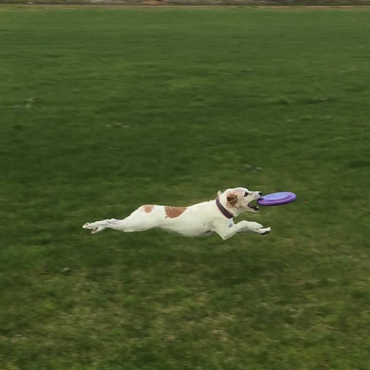 10c7dbb2 ab36 4130 8ed6 94b62e201ad3 1523411747505