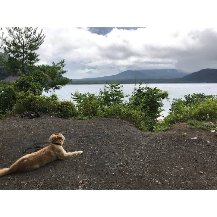 10c7f10d b398 4081 96a9 c76002ffe65a 1534380013456