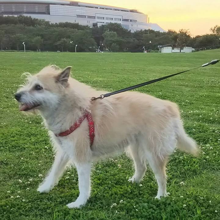 10c82413 9649 4f9b 9efe 55a7095ce977 1529834669961