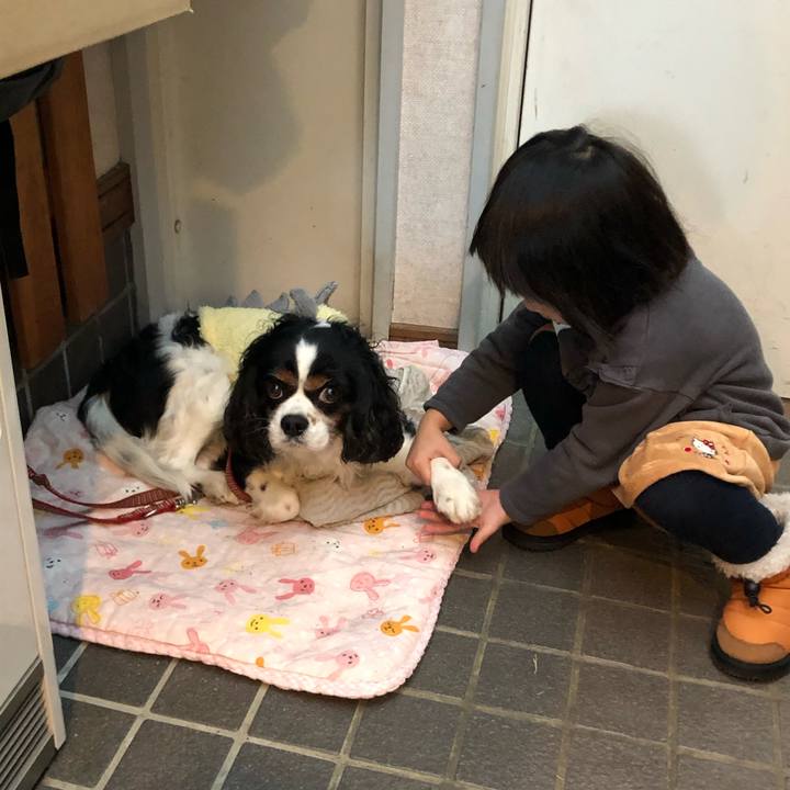 10c84150 9852 4d0d 9e96 a2fe0d68d12e 1577445449653