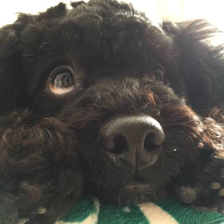 10c844cb 97ee 4ce1 8eb3 f0ccf0be50ea 1581083347450