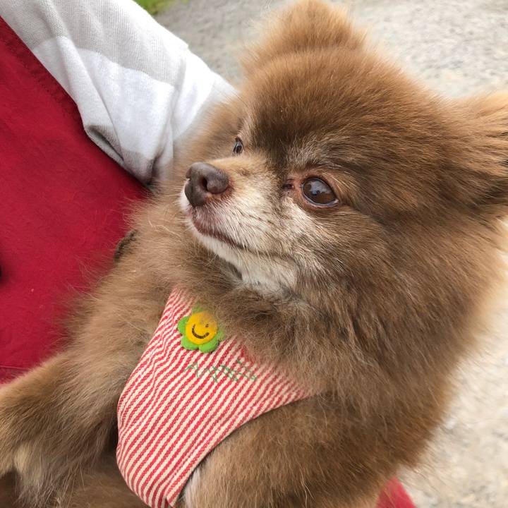 10c8517e 1d10 46ae b93b fcc762fee7fd 1562482581148