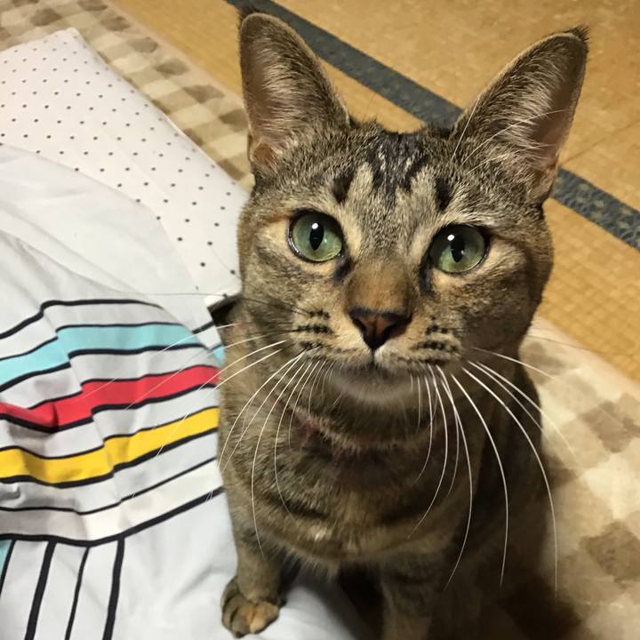 10c867a7 969d 4f82 ada5 777c1ec333dd 1607467987580