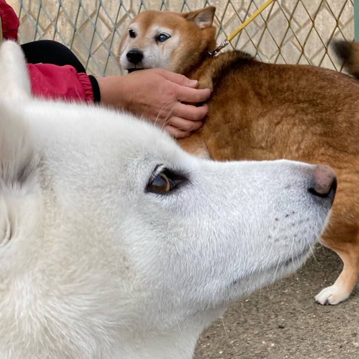 10c86b7d 262b 45fa bb56 126f5fe2aa1e 1639296390230