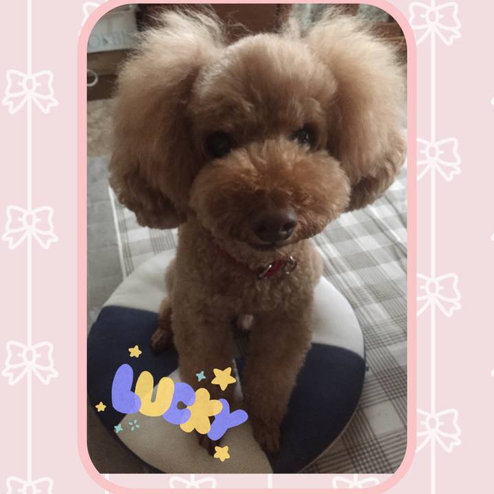 10c88a83 29e8 4dd3 ae67 269bae3a67cd 1536704470956