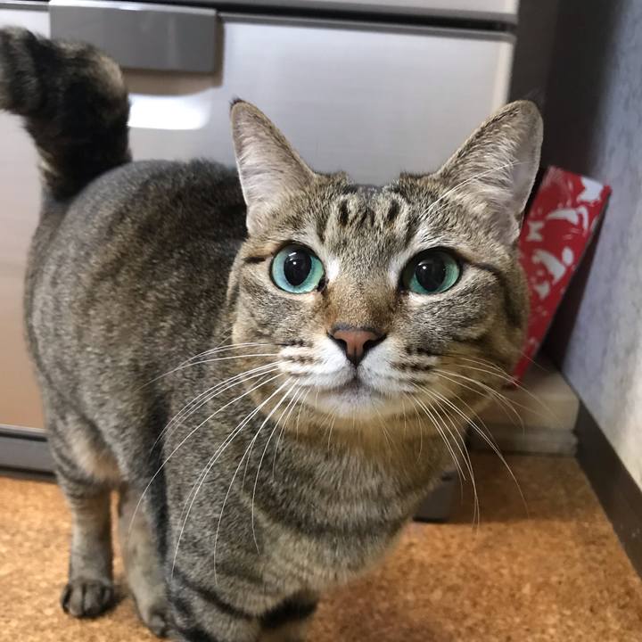 10c88d7c ca1f 490c ab78 f9fe3940ece1 1544349361351