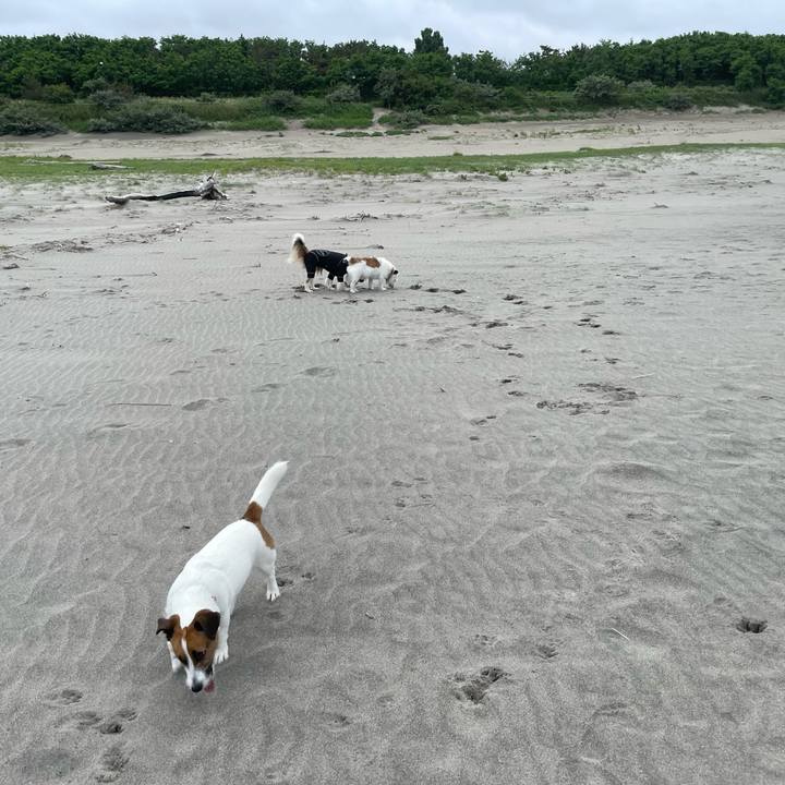 10c8a3dd 5845 41b4 9ff9 3a2c9559fd41 1719882419487