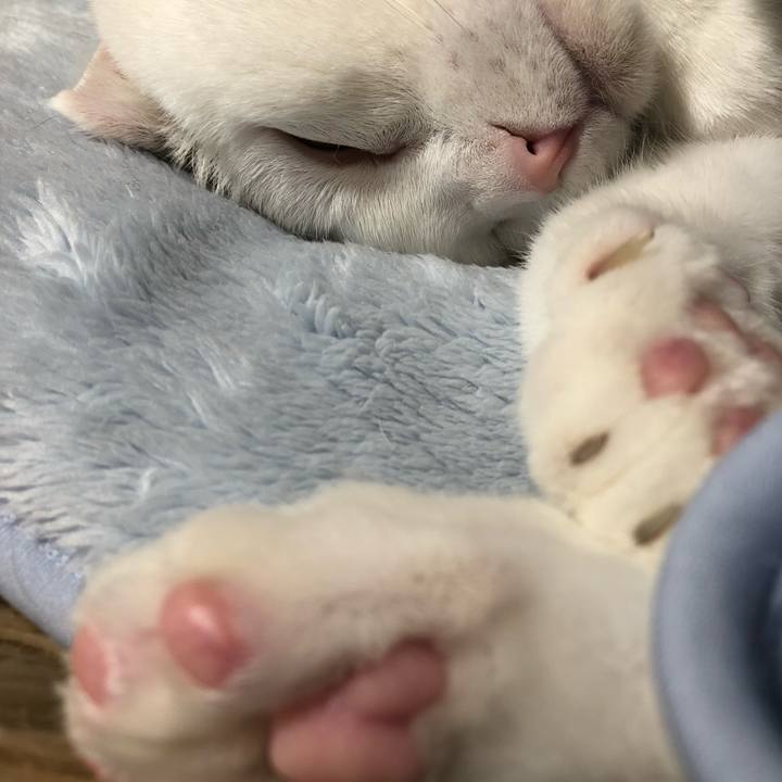 10c8b02d e9e2 45fa b43e 251b31d0795e 1546181558797