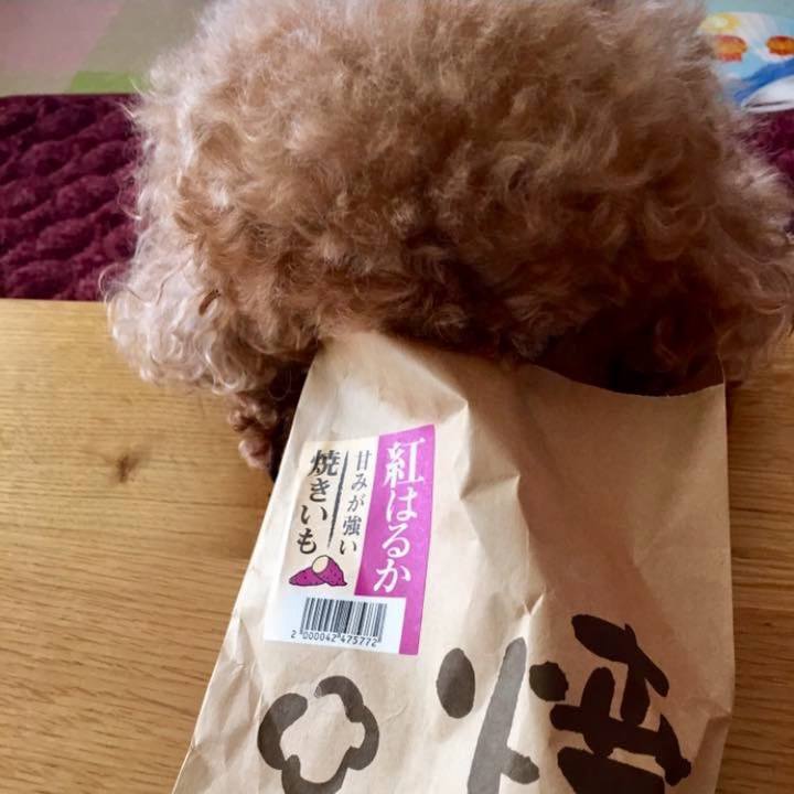 10c8c992 51d6 4c37 a457 4c0cca459b01 1567298189260