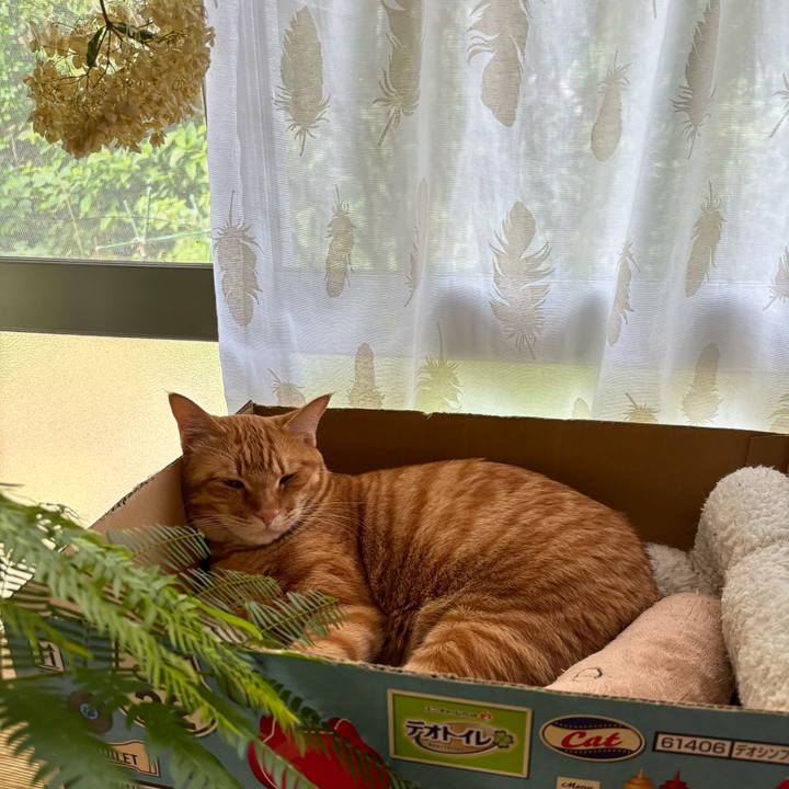 10c8de51 3a2d 40d7 8e79 c714599b33fe 1751592919695