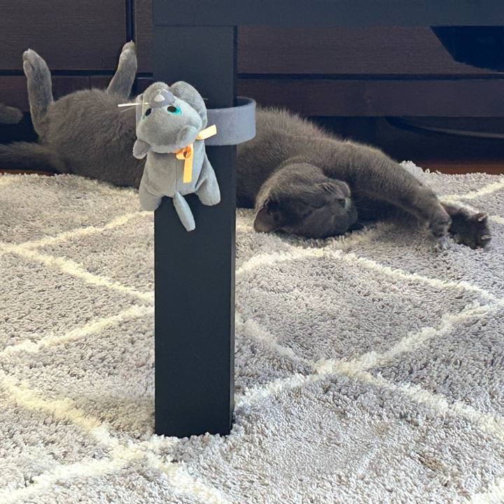 10c92e1e 69ea 4330 bc35 b1a6fbbdc3c8 1690161414384