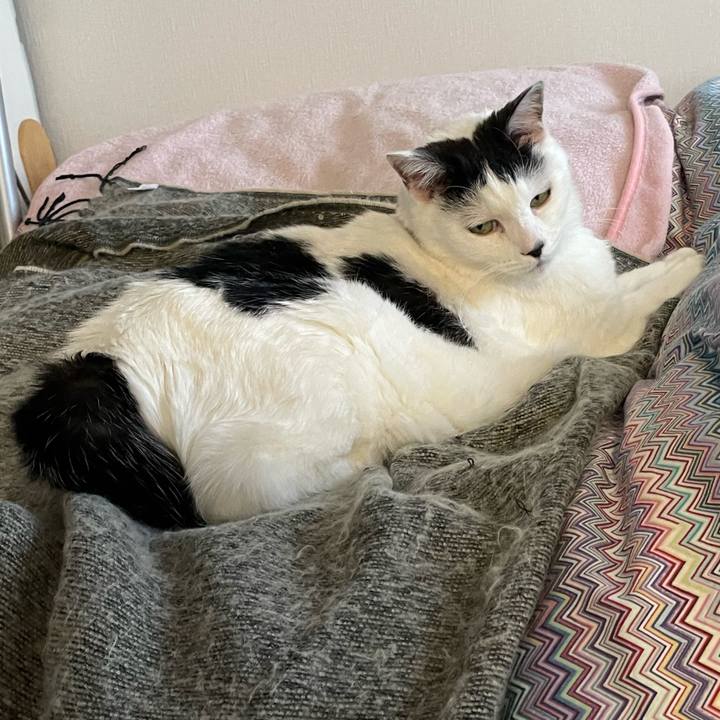 10c9792f 8e87 4c0d 8972 1af2ff55e81a 1640043365805