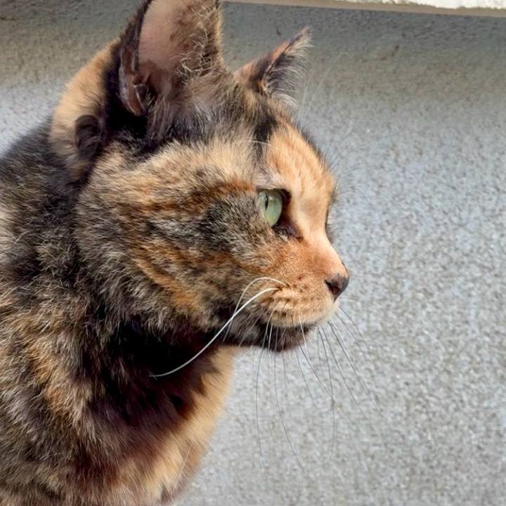 10c97b09 13a5 4740 a262 b0ea217978cc 1766648063243