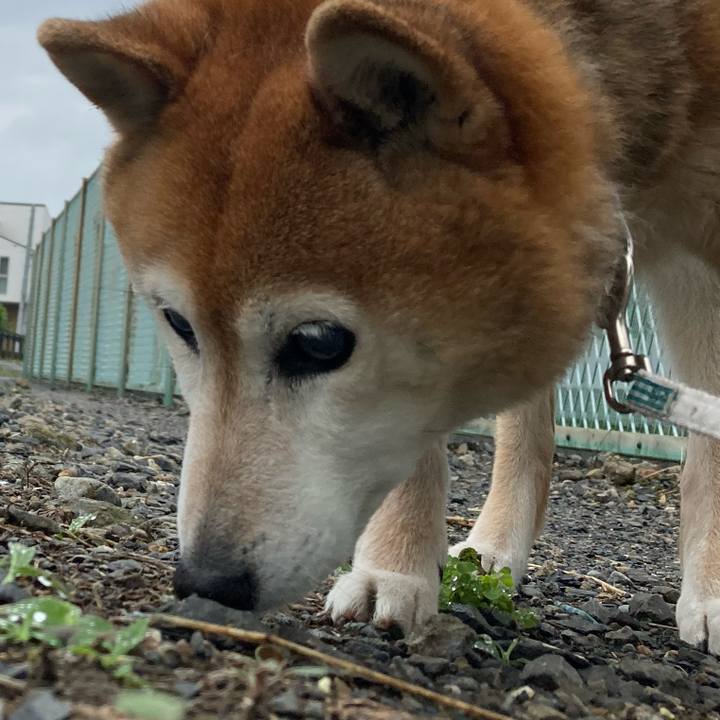 10c9a4e3 1344 4108 8f56 ada4bc434efe 1748609124356