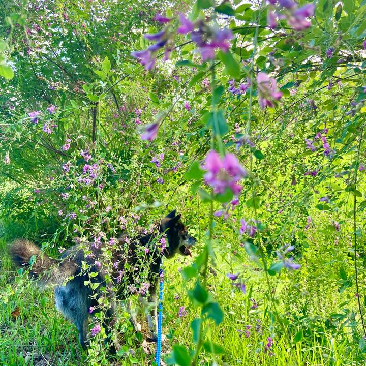 10c9af4e af2b 44f0 9602 271d491b006c 1658484137928