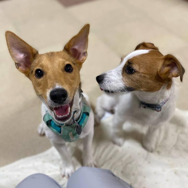 10c9b63b 709a 4d03 afde 43f1c4a78e20 1753481911664