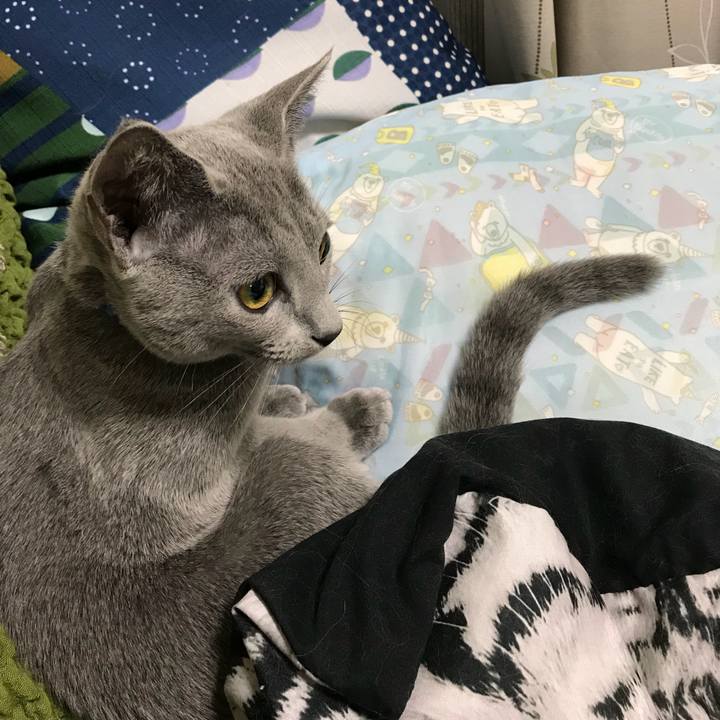 10c9bae7 bb52 416d 91eb 2823af17a2e1 1507898466990