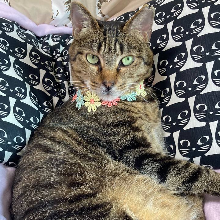 10c9be70 84c5 42b6 9d9f 2b39a5916a92 1652706670354