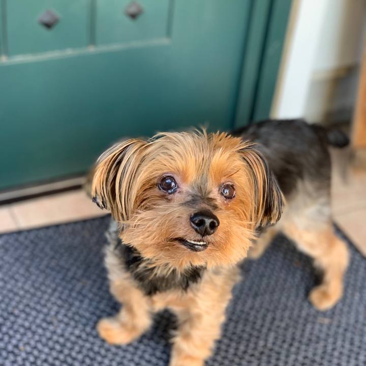 10c9cb41 a03f 4d30 abf9 f2b9163eb25c 1606426604710