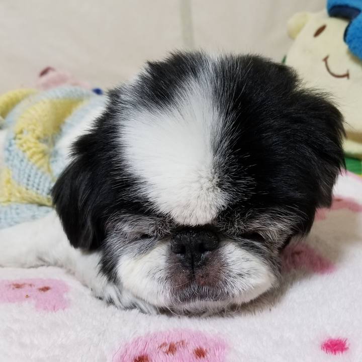 10c9cb4e 5be4 42ee a419 de7679a9033c 1610273530081