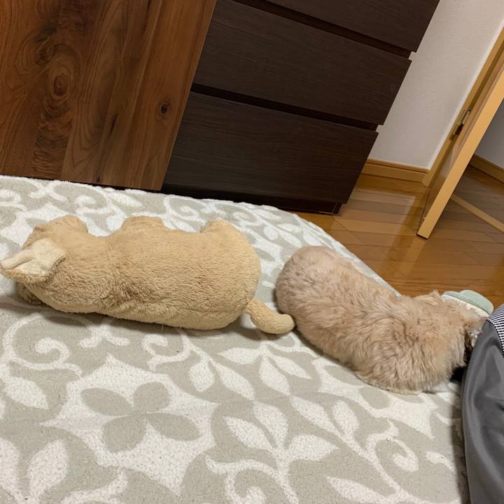 10c9cea8 88ad 4b9b 96ad b3d330d0638d 1583414116833