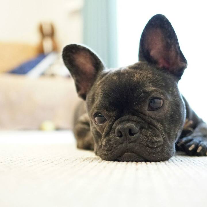 10c9d5ee 3d3c 49ad baba fec0dafe5057 1517103920992