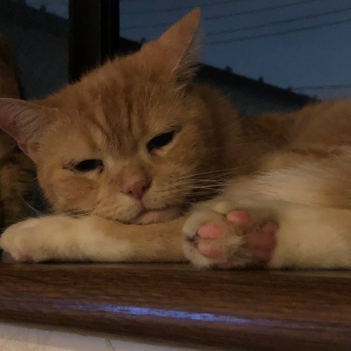 10c9ec8c 9cbc 48f5 8891 613580220cff 1596288597759