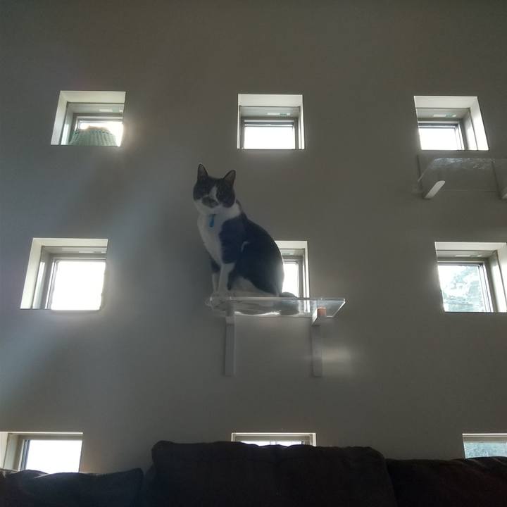 10ca15c6 35e4 407a be60 242fdcf34eef 1627255783048