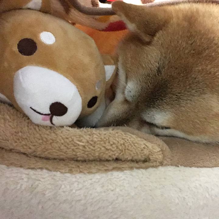 10ca1ecc 2be3 4bbb 8d04 8590bdb89919 1581505083807