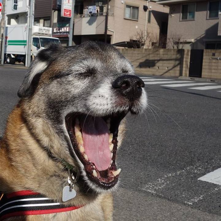 10ca2518 7a98 4aaa bb10 8901ca29ac90 1520235982361