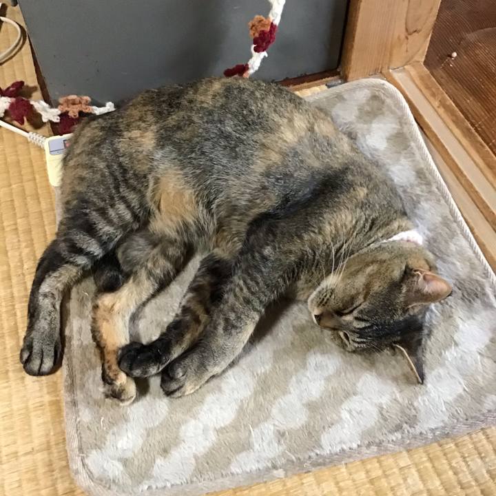 10ca3387 3580 4a57 9869 f371612ace0d 1653625749917