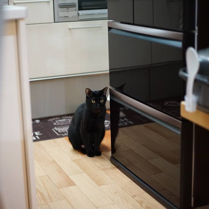 10ca44f2 dc39 4c15 b967 2d1efdad2e80 1521985082067