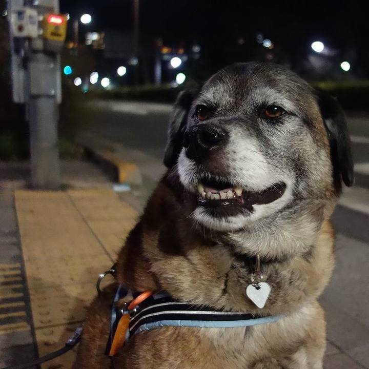 10ca5670 1a02 4e47 b6e2 2ab6cea46689 1520941320086