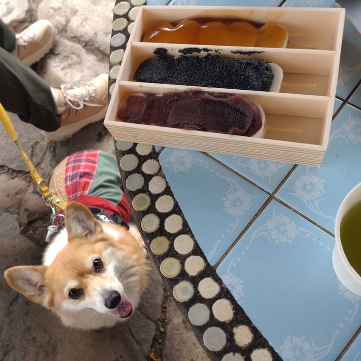 10ca5a85 7ff4 479f bef8 3f47ef88be38 1731841690826