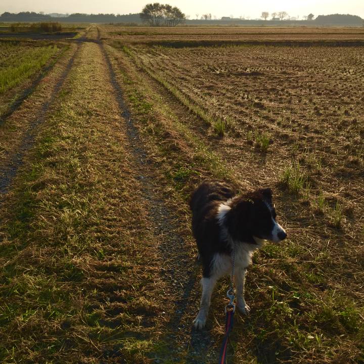 10ca62dd d585 4716 b33e 708bd07b5e81 1573255384649