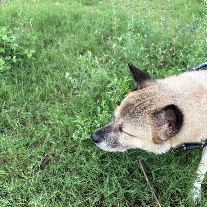 10ca972a f27e 4575 8579 6cade43be82b 1758285817787