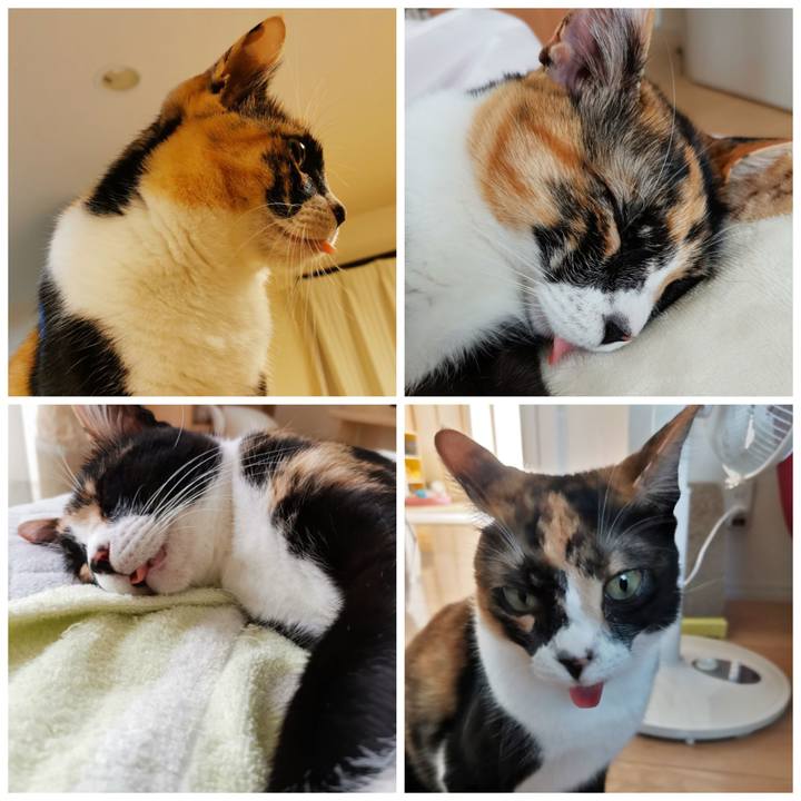 10caa347 cdd2 42a7 9e43 254a95b44444 1625399678527