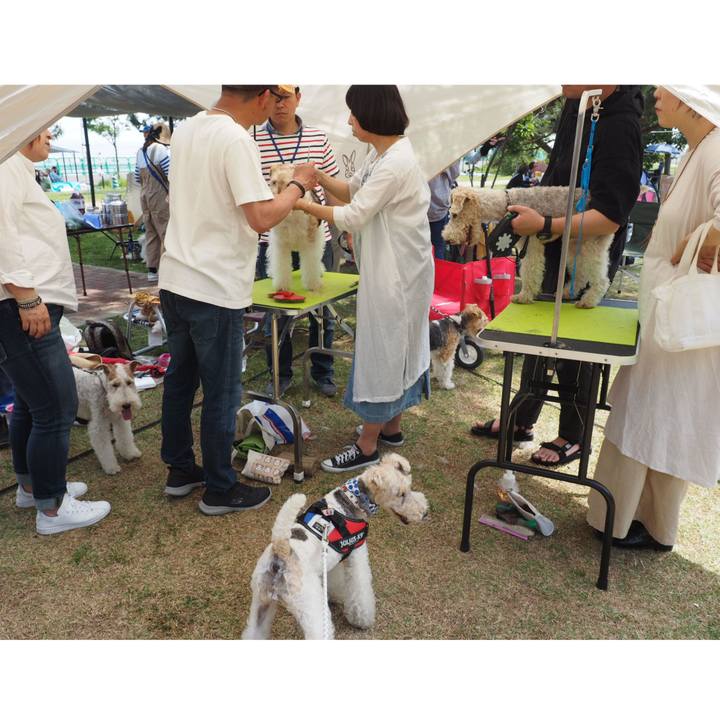 10cab9ff d48d 4d29 8865 228fd936288b 1557663347565