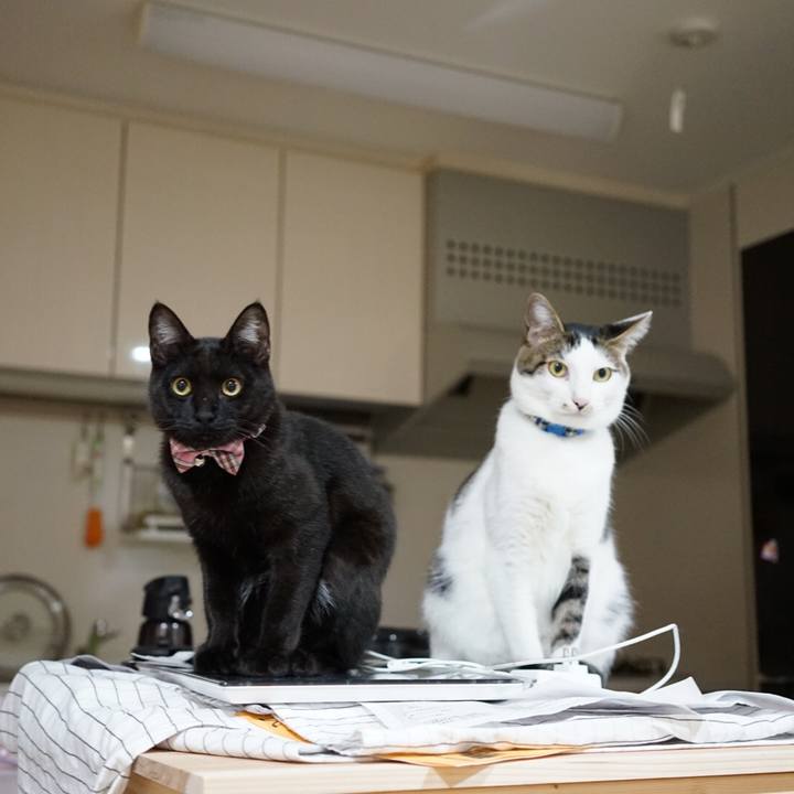 10cabeed ed9c 4b2e 9b8f a821ca622c23 1512946292286