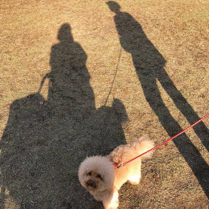 10cacf77 e986 482c a416 5ab9402e6ddc 1540625642440