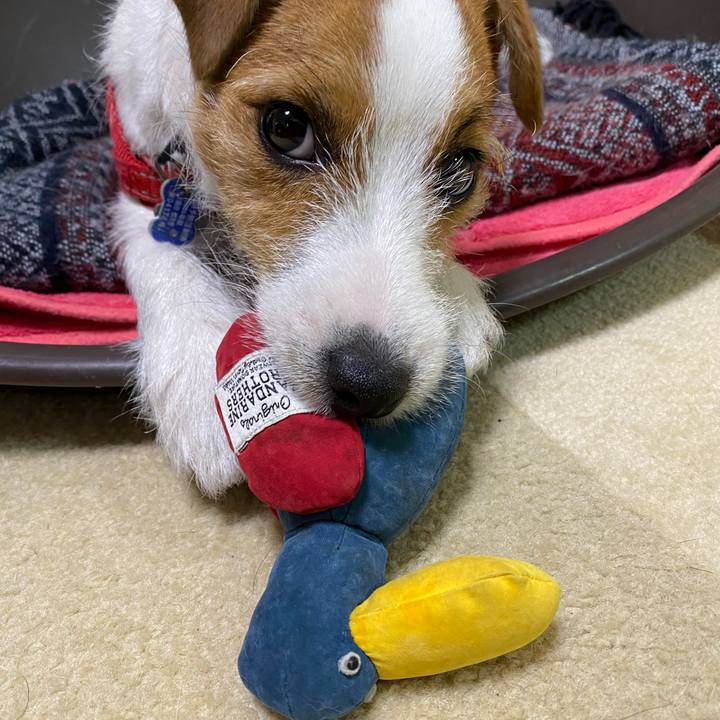 10cad9d5 c222 4bdc ad32 ca681991a97c 1619610980327