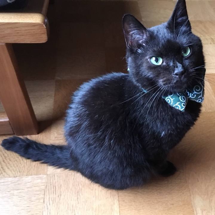 10caeb0f d8c3 44fe b806 974fe6c43ff6 1566443890514