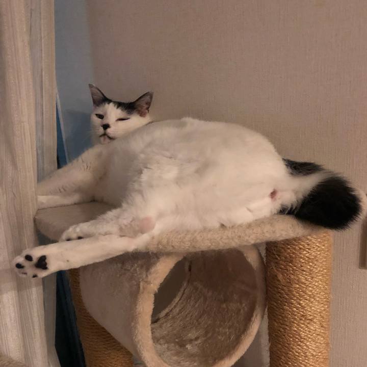 10cb04df d4e1 4dff 94ed f8738b683bcc 1569066503327