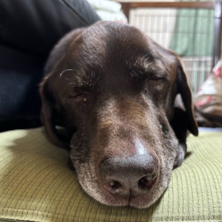 10cb1641 eda5 4232 9f7e f1dcb3fc70fb 1769257092667