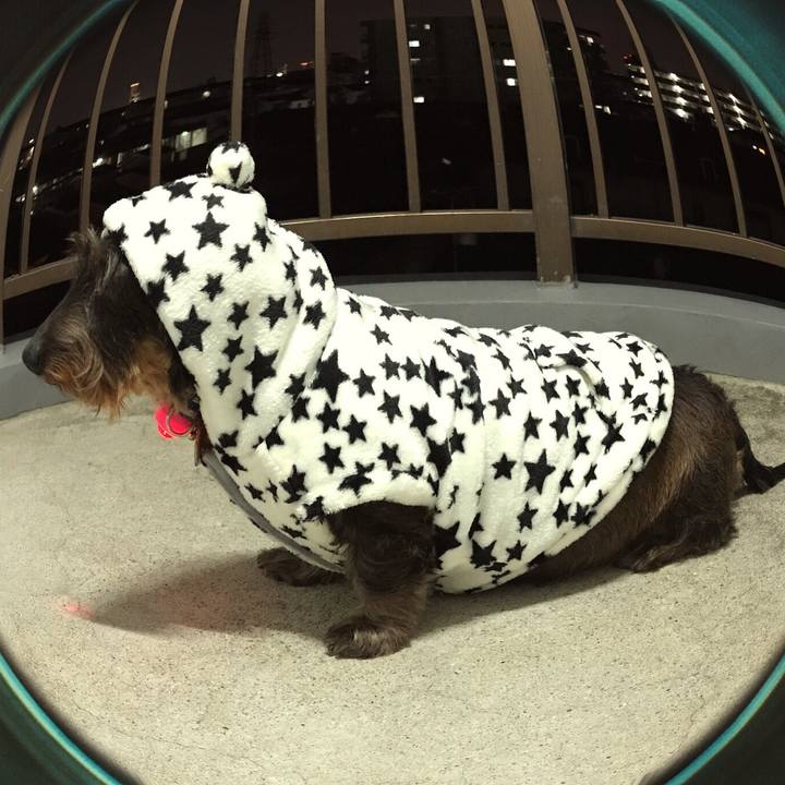 10cb3344 a849 464b 99a6 26d9091a956e 1508941084672