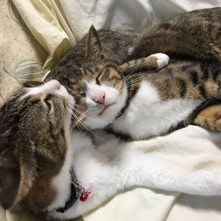 10cb3eca c062 4dae 9c05 33588f7b59cf 1685358982893