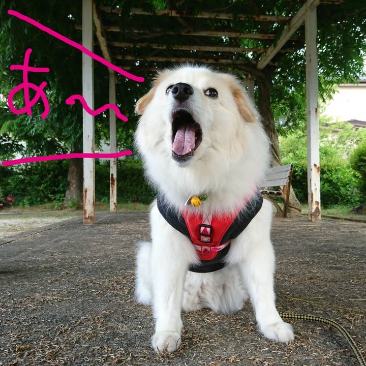 10cb5233 7cdb 4747 b02a ea23f113e979 1527372986477