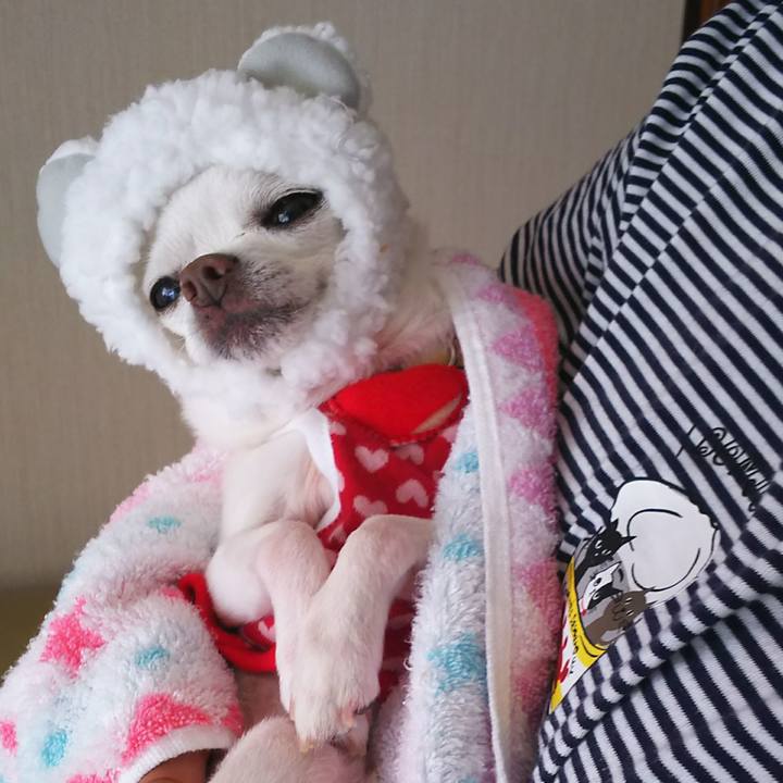 10cb6908 94dd 413e ad94 75bc2bbbb78a 1538197189745