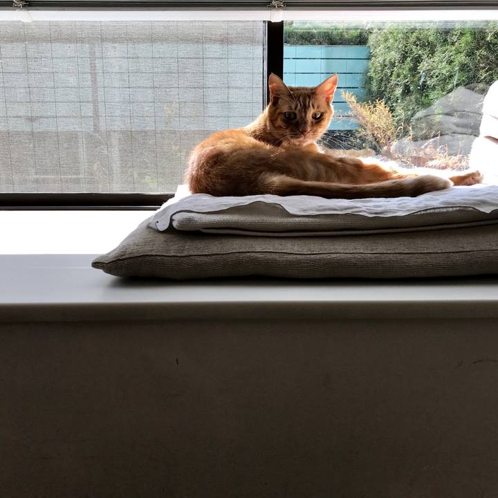 10cb7721 d136 456d b666 f571a1a59b97 1550630388706